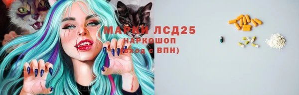 эйфоретик Надым