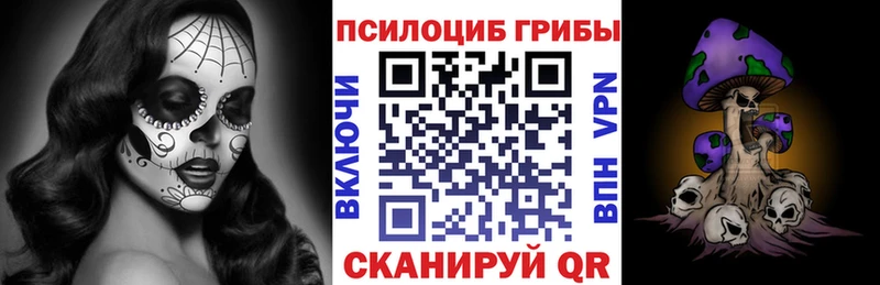 что такое   hydra онион  Псилоцибиновые грибы Magic Shrooms  Карачев 